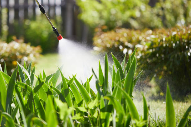Tamper-Resistant Bait Stations for Rodents in Cambridge