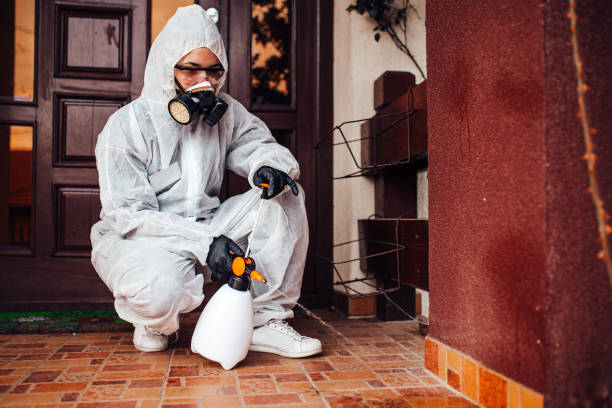 Attic and Crawl Space Rodent Treatment in Cambridge